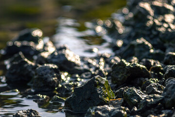 Sun glare among the coastal stones