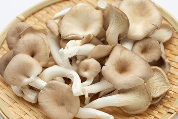 Fresh oyster mushroom in bamboo basket on white background.