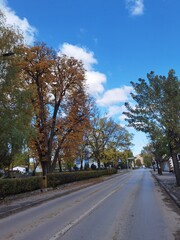 road in the park