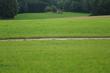 Obraz premium Fields and wooden barn in the Franconian summer landscape around Aufseß, city with the most breweries per capita worldwide, Aufseß, Upper Franconia, Bavaria, Germany 