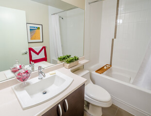 Fragment of a luxury bathroom