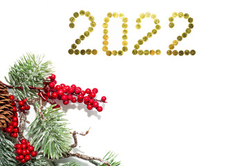 Fototapeta na wymiar The year 2022 and a sprig of a Christmas tree on a white background. Happy New Year!
