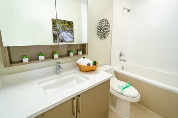 Naklejka na ściany i meble Interior design of a spacious and elegant bathroom