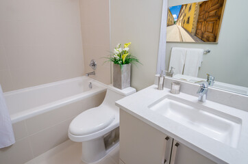 Fragment of a luxury bathroom