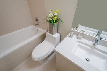 Fragment of a luxury bathroom