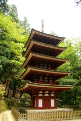 室生寺・五重塔