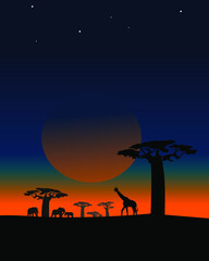 Sunset in the African Jungle 