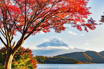 Fuji Mountain and Red Maple Leaves in Autumn at Kawaguchiko Lake Japan