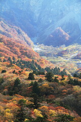 日本百名山の伯耆大山と紅葉