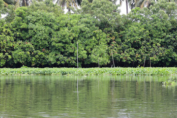 View of Tha Chin River (Maenam Tha Chin), Nakhon Pathom,Thailand