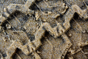tiretrack in the sand on the beach