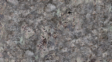  stone nature
