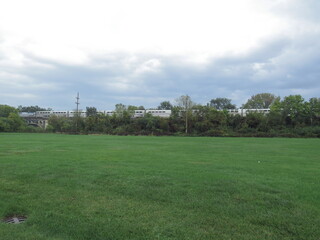 nature free ducks in the field green grass blue sky trees clean nature pure air