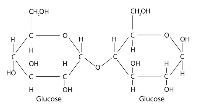 Chemical illustration of maltose molecular structure 