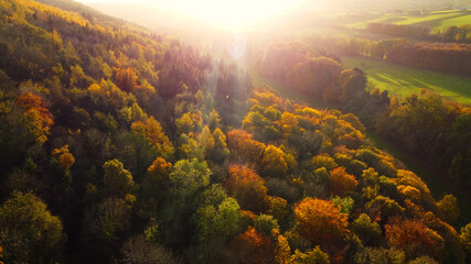 Fototapeta na wymiar Aerial photo of Autumn Sunset in Glenarm Castle and Forest Ireland