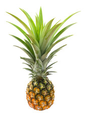 Fototapeta premium Fresh pineapple is a beautifully shaped fruit on a white background. Isolated.