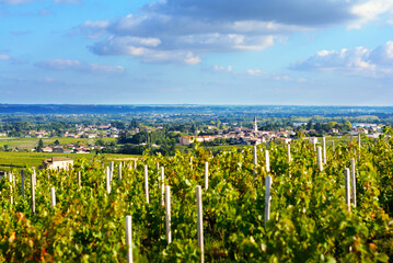Fototapeta na wymiar Romaneche village and vineyards, Beaujolais, France