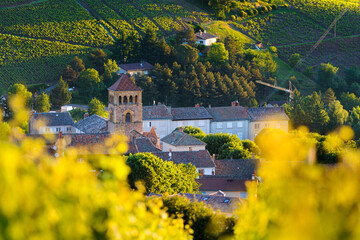 Village of Beaujolais and vineyards at sunrise