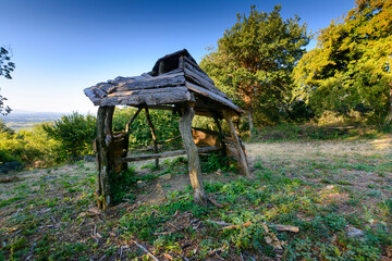 Sur les sentiers du Mont Brouilly, Beaujolais