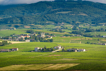 Fototapeta na wymiar Le village de Régnié-Durette et ses vignes avoisinantes, Beaujolais, France