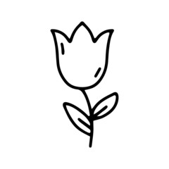 Linear vector illustration with a tulip in cartoon style. Botanical illustration