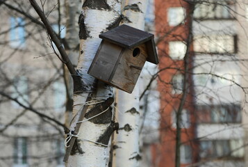 An empty wooden birdhouse on a birch tree in the garden in autumn