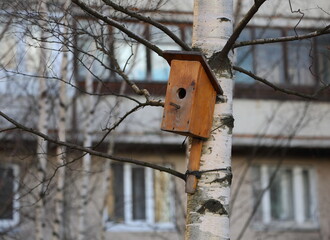 An empty wooden birdhouse on a birch tree in the garden in autumn