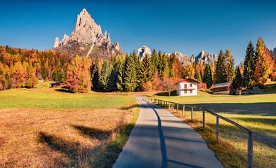 Captivating autumn view of Canali valley, Piereni location, Province of Trento, Italy, Europe. Majestic morning scene of Dolomite Alps. Beauty of countryside concept background..
