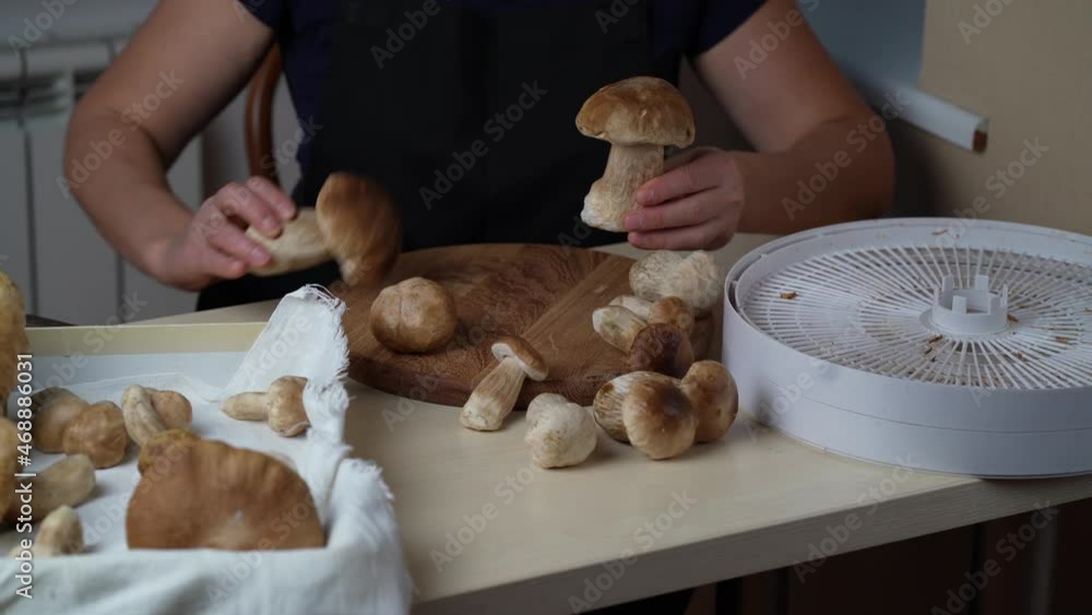 Canvas Prints harvesting mushrooms. woman cuts mushrooms, going to dry mushrooms in an electric dryer