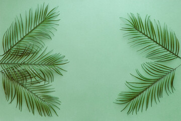 Palm leaves isolated on a green background.