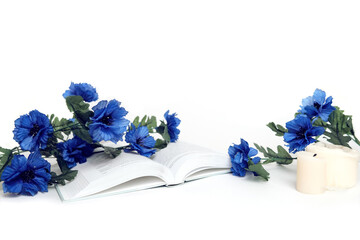 Book with blue flowers on a white background. Opened book isolated on white background.