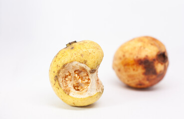rotten guava on a white background. guava fruit that starts to rot due to being too ripe