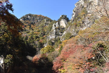 紅葉の仙娥滝