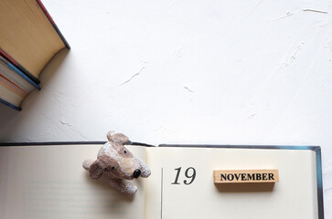November 19th, date 19 november in an open book on white background.