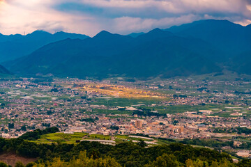 Obraz premium 陽の当たる場所