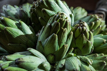 Fototapeta premium A lot of fresh organic artichokes, on a tray, before cooking in a restaurant. Cynara scolymus. Asteraceae family