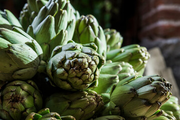 A lot of fresh organic artichokes, on a tray, before cooking in a restaurant. Cynara scolymus. Asteraceae family