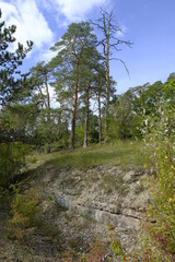 Fototapeta na wymiar Landschaft im NSG Trockengebiete bei Machtilshausen, Landkreis Bad Kissingen, Unterfranken, Franken, Bayern, Deutschland