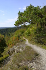 Landschaft im NSG Trockengebiete bei Machtilshausen,  Landkreis Bad Kissingen, Unterfranken, Franken, Bayern, Deutschland