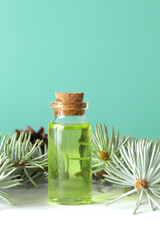 A bottle with cosmetic oil or face serum with pine twigs. Pine essential oil or skin care solution for anti age treatment. Copy space. Great fermented ingredient.