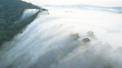 aerial view mist above the mountain in tropical rainforest and .beautiful sunrise scenery view in Phang Nga valley.
