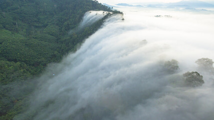 aerial view mist above the mountain in tropical rainforest and .beautiful sunrise scenery view in Phang Nga valley.