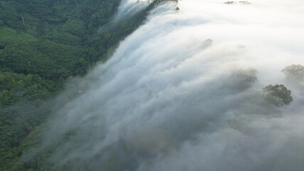 aerial view mist above the mountain in tropical rainforest and .beautiful sunrise scenery view in Phang Nga valley.