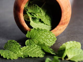 A pot of mint leaves
