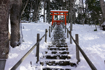 Torii shrine gate, winter, Japan - obrazy, fototapety, plakaty