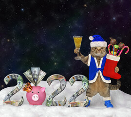 A beige cat dressed as Santa Claus drinks wine near the number 2022 in the snow at night. - obrazy, fototapety, plakaty