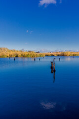 Schöner Herbstspaziergang an der polnischen Ostsee vor den Toren Kolbergs - Polen