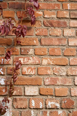    Old brick wall, old texture of red stone blocks closeup        