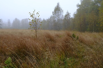 Das Naturschutzgebiet 