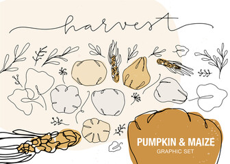 Pumpkin vector clipart, Thanksgiving graphic set with modern line drawing different vegetables. Maize, leaves clipart and calligraphy flourishes collection.